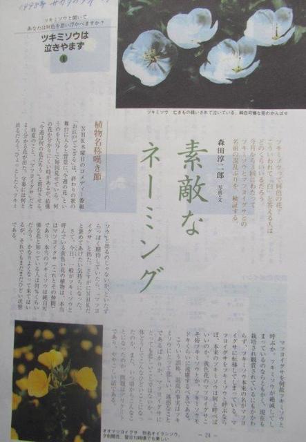 7‐2 <月見草は泣きやまず>森田淳二郎1998年著12頁.jpg
