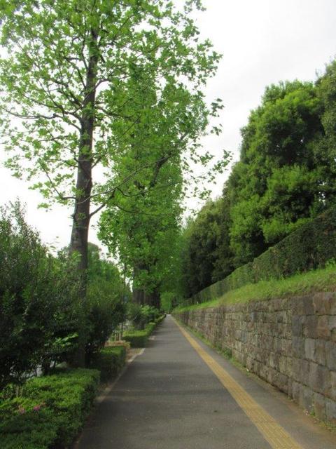 ②-4 迎賓館南通り.jpg