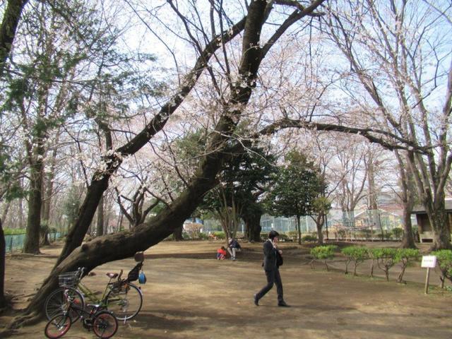 ③-1 上水公園.jpg