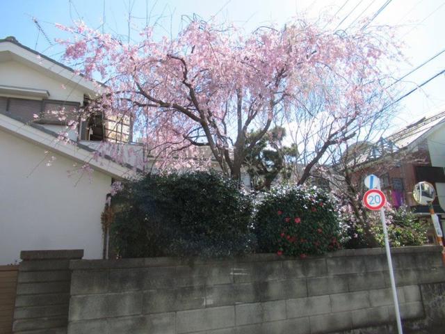 ③-3 学園東町1丁目.jpg