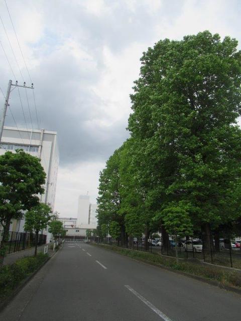 ③-3 小平BS中央通り―3.jpg