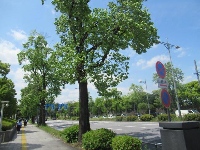 ③-5 内堀通り・警視庁前.jpg