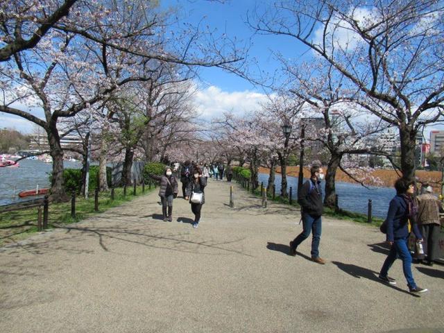 ④-1 上野公園不忍池.jpg