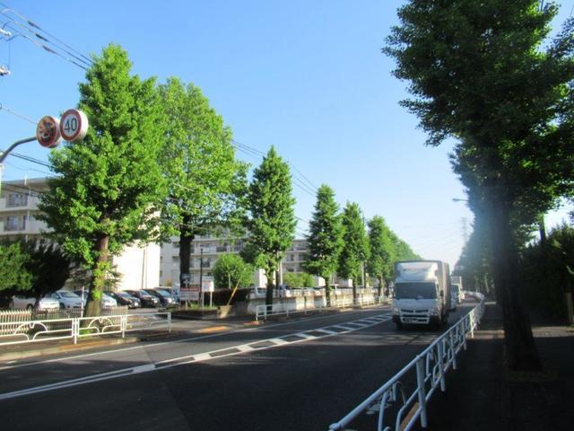 ⑦-1 滝山団地・銀杏並木とユリノキ.jpg