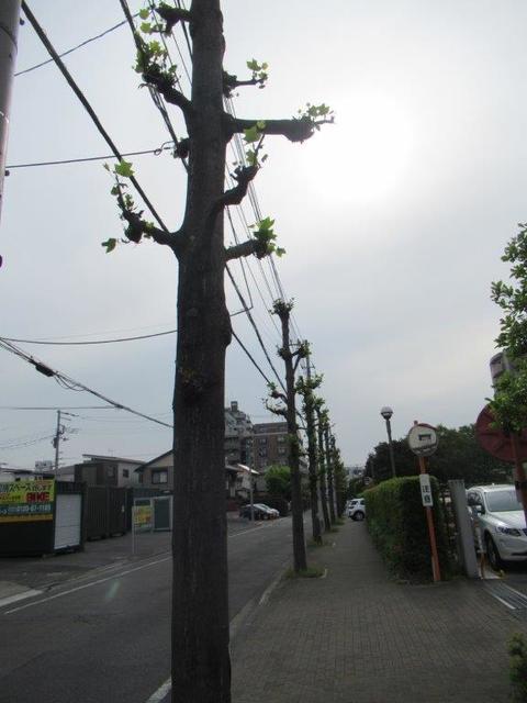 ⑦-3 小平鈴木町-3.jpg