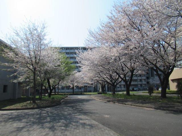 ⑧-1 一橋大学・国際キャンパス.jpg