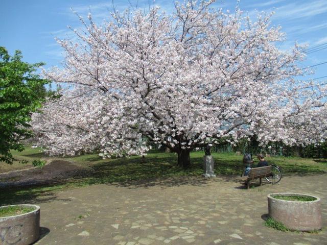 ⑧-2 タケノコ公園.jpg