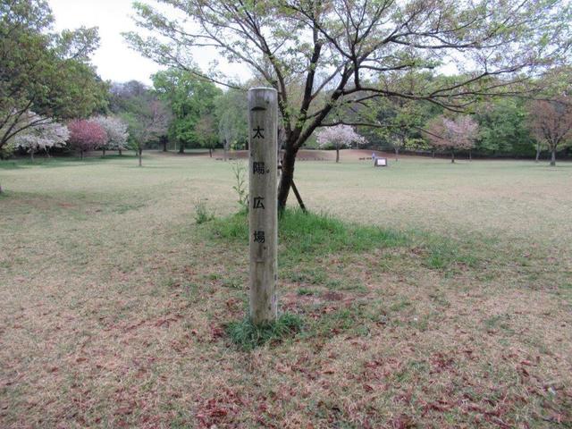 ⑨-1 狭山公園・太陽広場.jpg