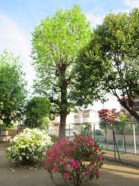 ⑩ 小平上水南・児童公園.jpg