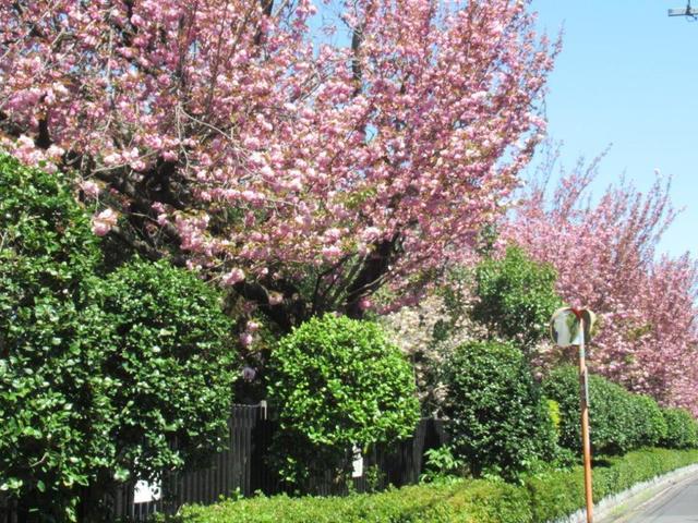 ⑩-2 東村山実務学校.jpg