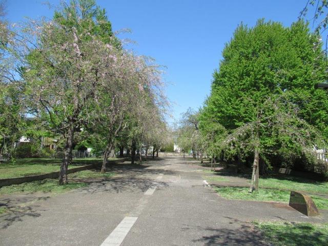 ⑩-3 小金井公園北口.jpg