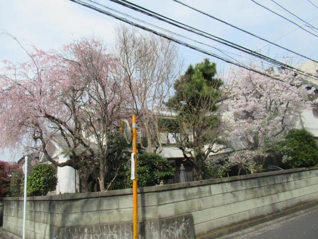 写真①-2 小平市・学園東1.jpg
