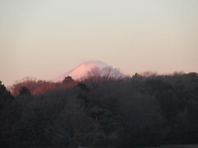 写真①-3 日の出直後の富士山.jpg