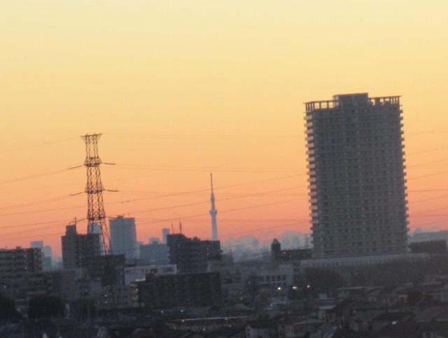 写真①-4 スカイツリー東村山駅ビルと送電鉄塔の間に.jpg