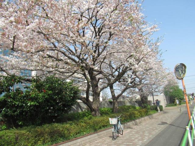 写真①-4 小平高校前.jpg