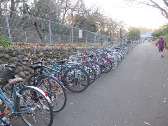 写真①-9 多摩湖入り口の自転車の一部.jpg