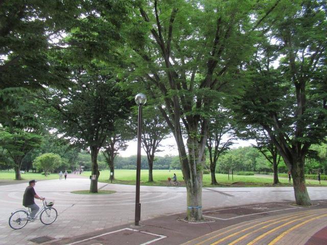 写真②-1 東村山広場の遠景.jpg