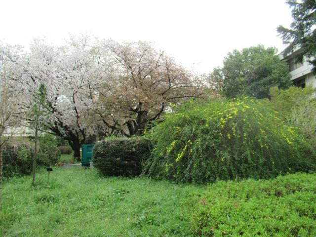 写真②-2 小平市・精神神経C.jpg