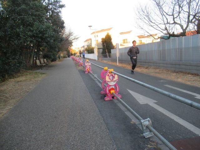 写真②-4 帰りの遊歩道、.jpg