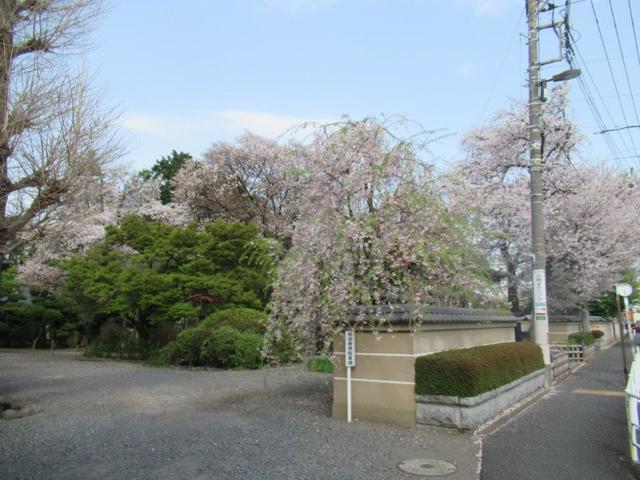 写真③-1 小平市・延命寺(1).jpg