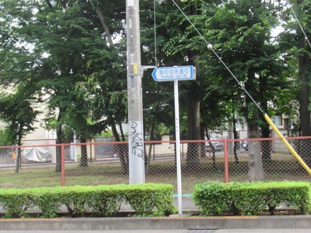 写真③-2 東大和市、ゆりのき通り-1 7月3日.jpg