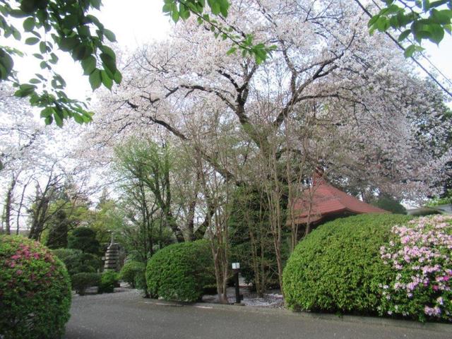 写真③-2 小平市・延命寺 (2).jpg