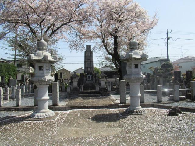 写真④-1 小平市・小川寺.jpg