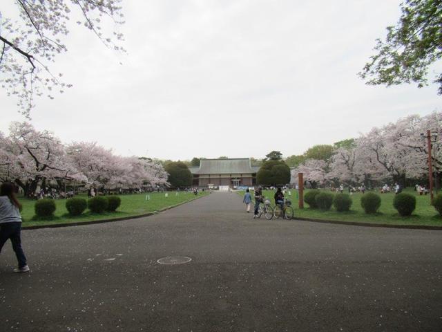 写真④-4 小金井公園・江戸建物園.jpg