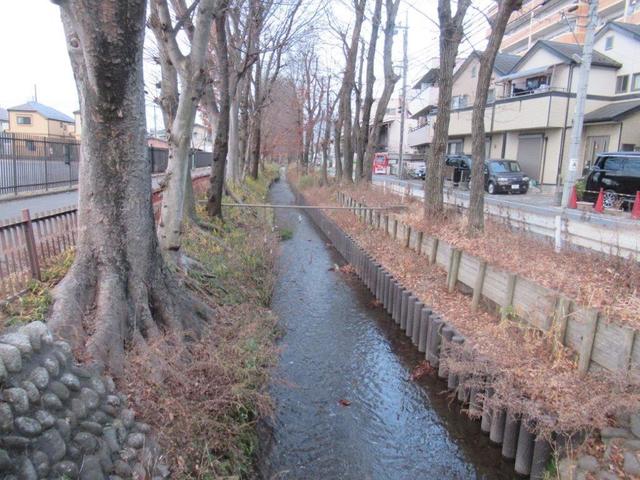 写真④-4 野火止用水.jpg