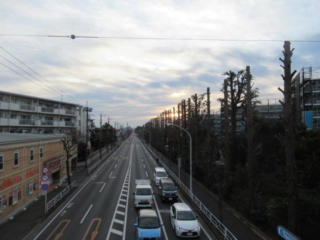 写真④-5 新青梅街道・久米川歩道橋.jpg