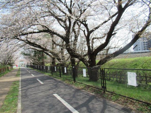 写真⑤-1 多摩湖遊歩道・東村山浄水場の南.jpg