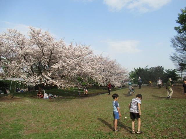 写真⑤-1 小平市・タケノコ公園.jpg