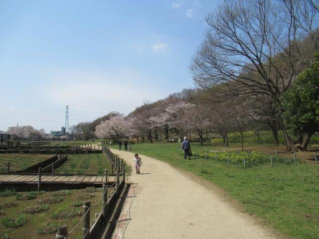 写真⑤-2 北山公園(1).jpg
