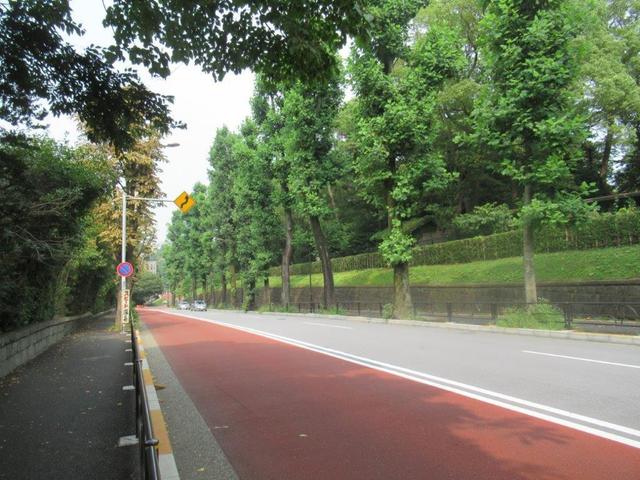 写真⑦ 赤坂迎賓館南 ユリノキ並木.jpg