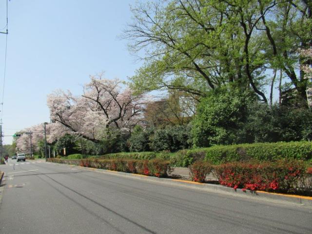 写真⑨ 野火止・明治学園.jpg