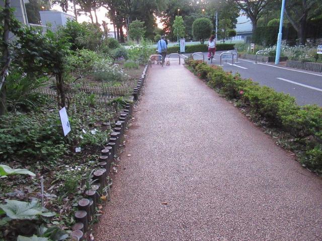3‐4 花街道花壇.jpg